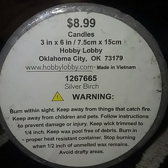 Darsee And David's Accents Silver Birch Candle Poshmark